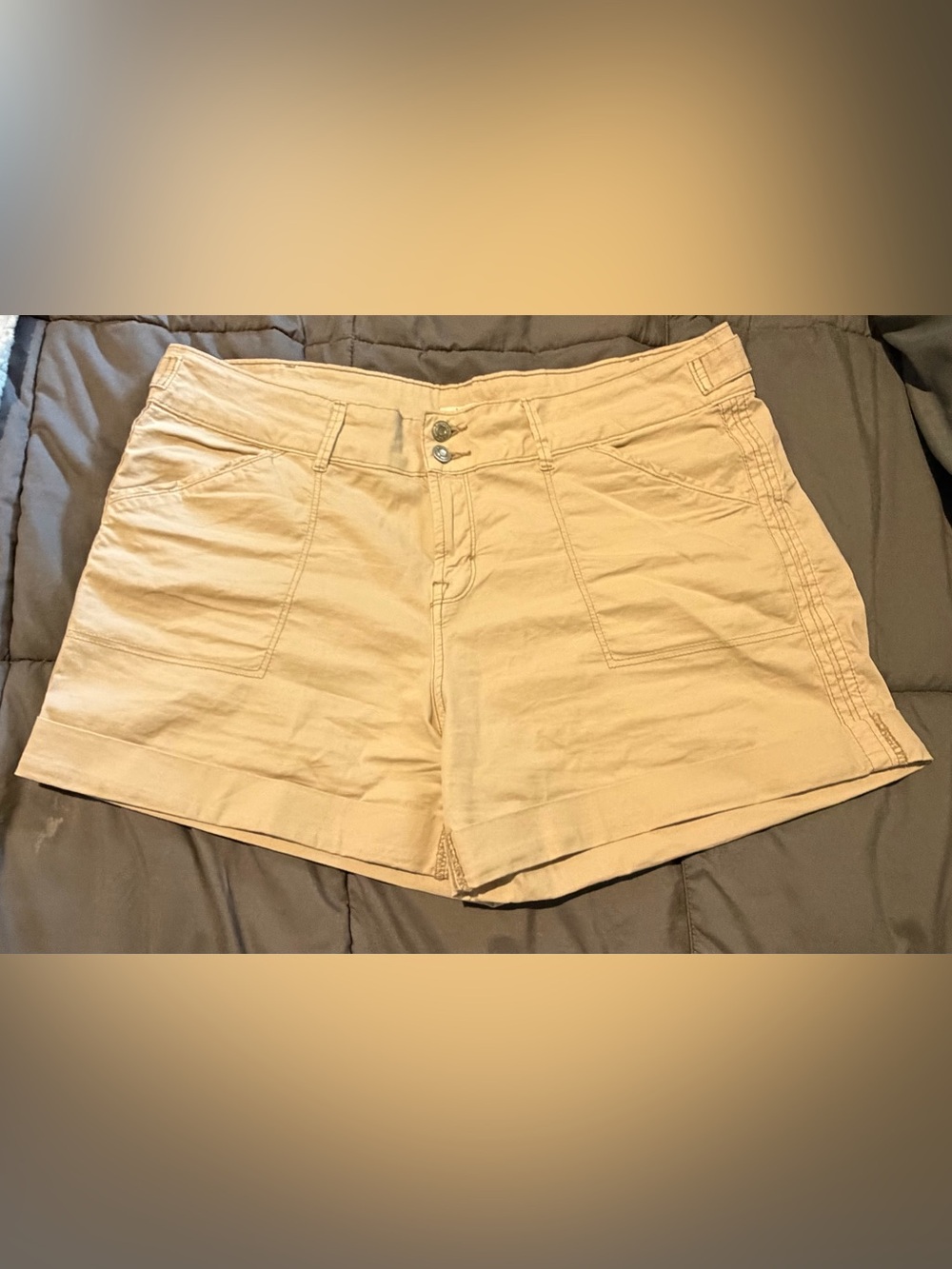 Kensie Beige Stretchy Shorts 14
